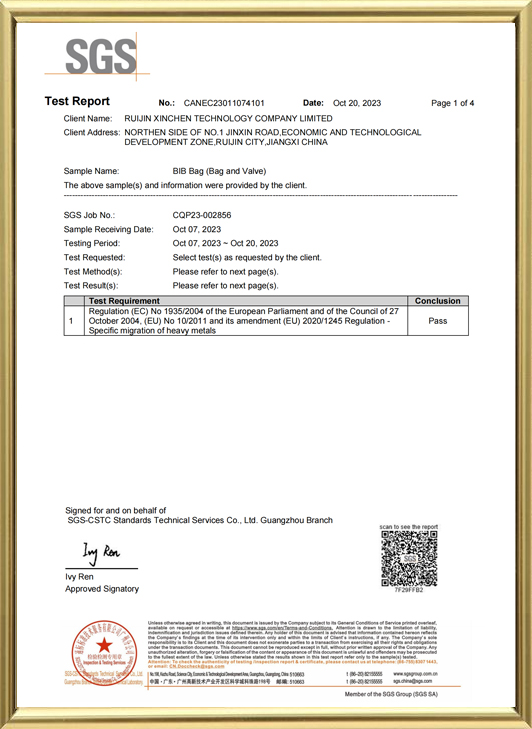 Informe de prueba SGS